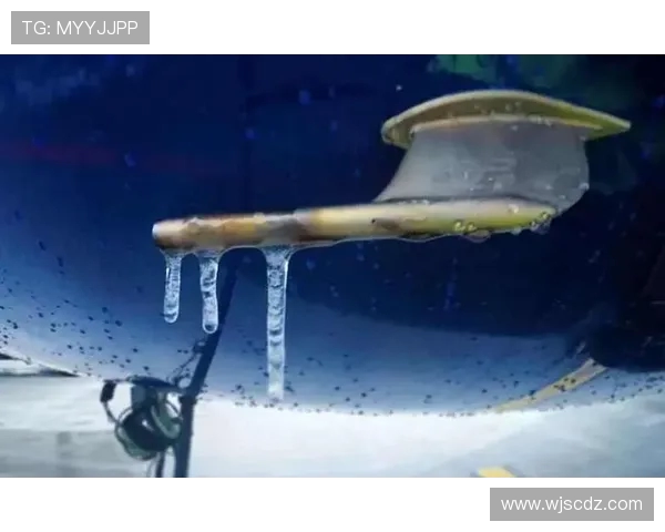 飞机防冰系统热空气引气路径